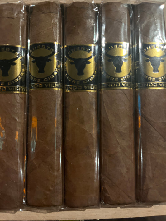 Second Wind Box Pressed  Robusto