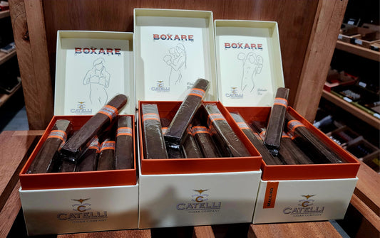 Boxare Defender Toro