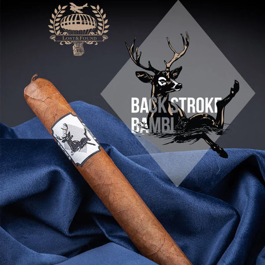Lost and Found - Backstroke Bambi