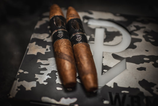 Powstanie - Wojtek War bear WBMD 2025